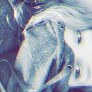 Meet your Posher, Kat